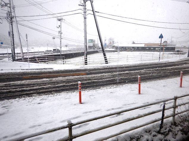 初雪