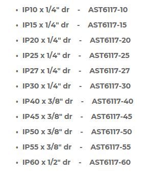 AST社製　トルクスプラス　ビット１１個セット　AST6117