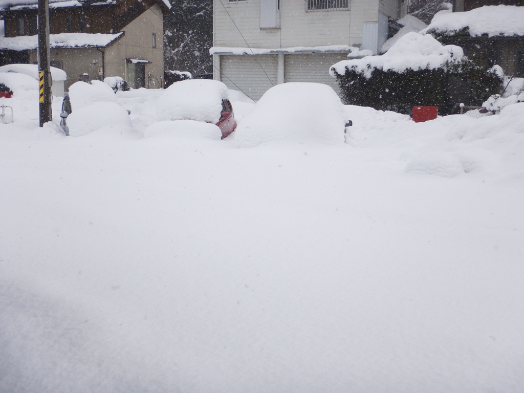 大雪による運送会社業務停止のため発送が遅れます。