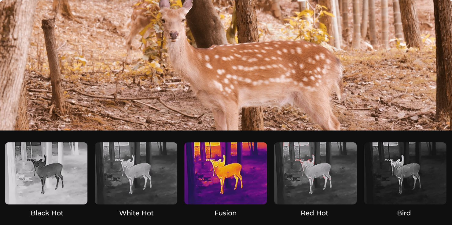 サーマル単眼鏡 TOPDON TS004(トップドンティーエスゼロゼロヨン)